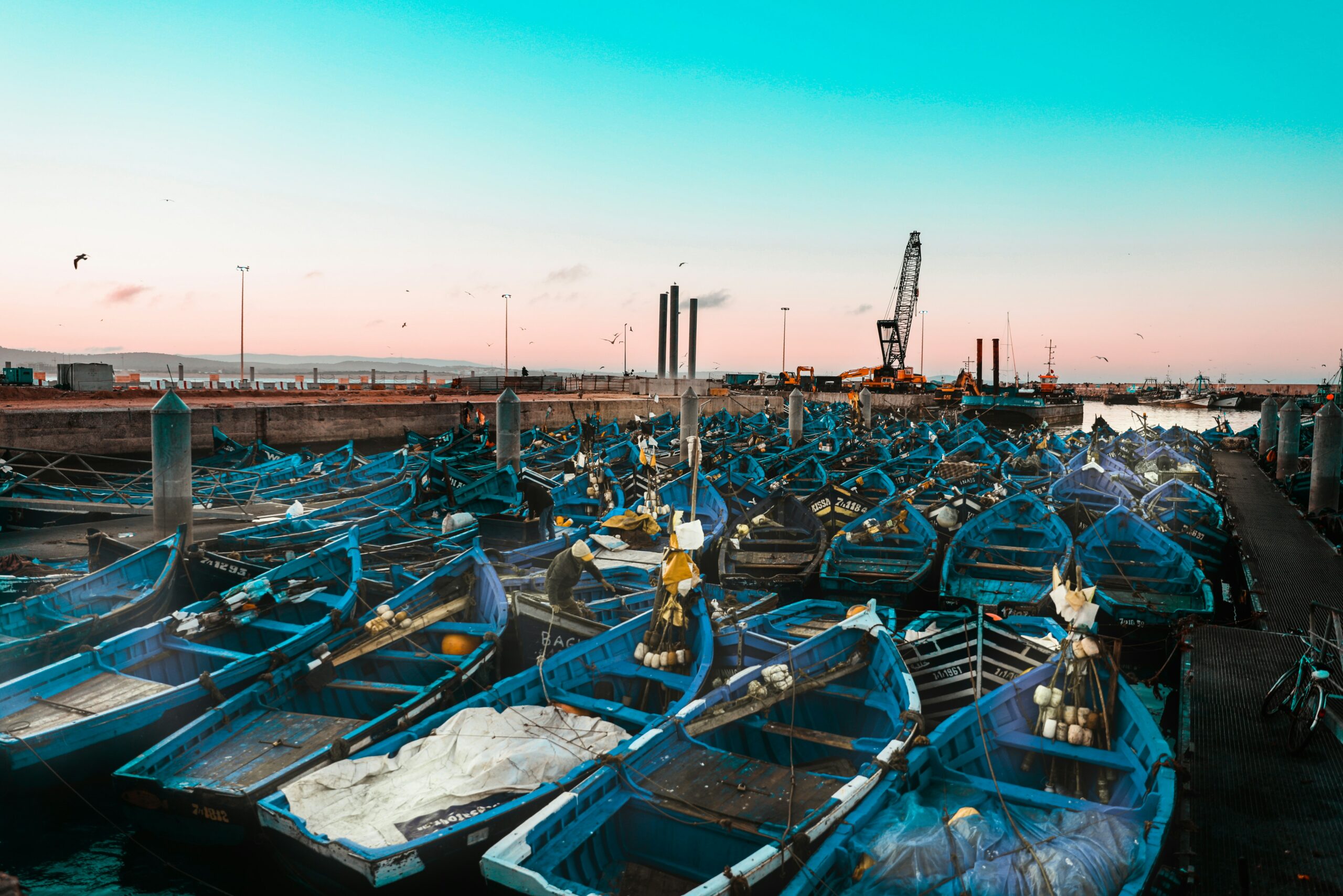 Essaouira Coastal Day Trip