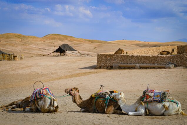 Transport Marrakech
