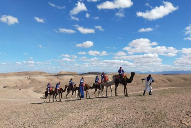 transport marrakech camel ride in agafay