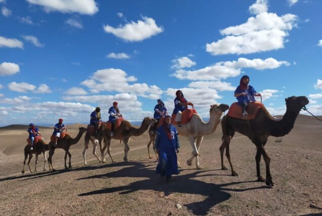 transport marrakech camel ride in agafay