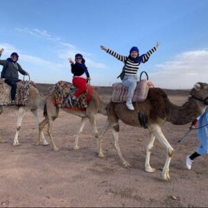 transport marrakech camel ride in agafay