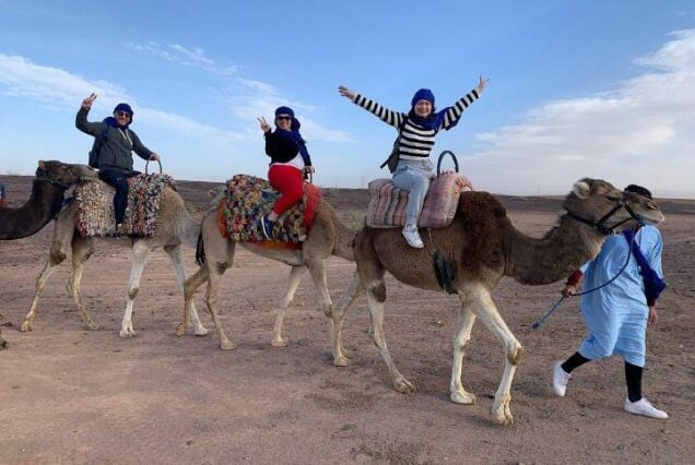 transport marrakech camel ride in agafay