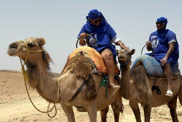 transport marrakech camel ride in agafay