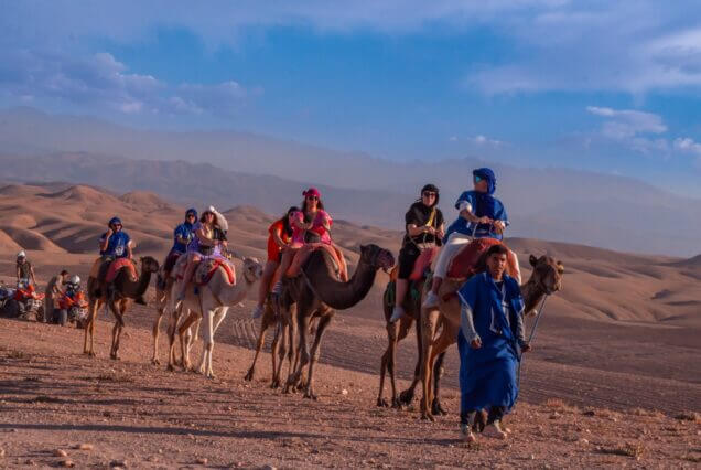 transport marrakech camel ride in agafay